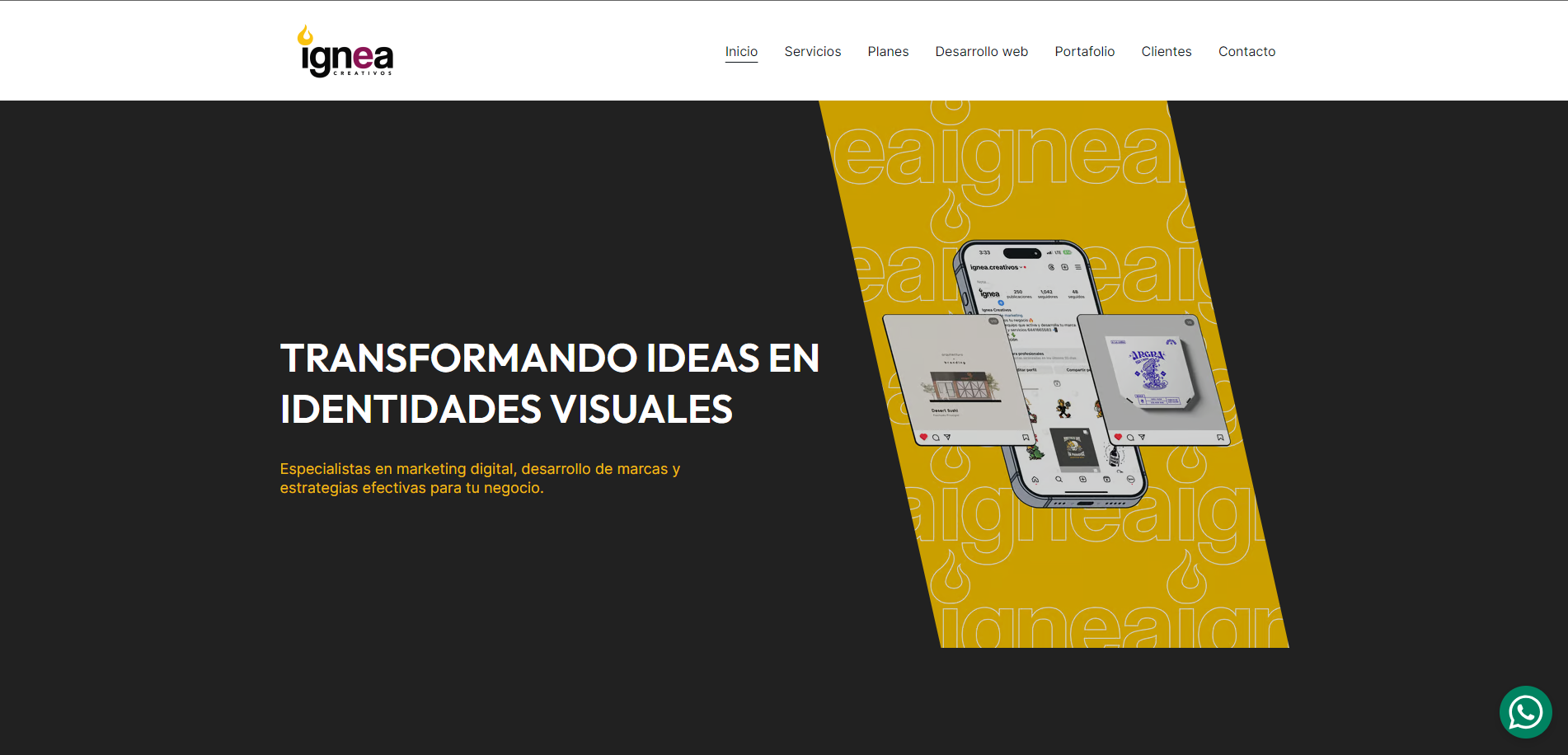 project-image