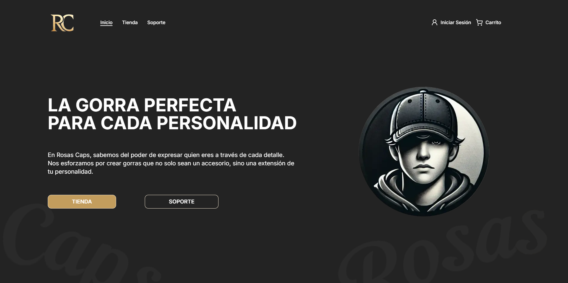 project-image